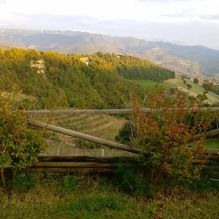 San Francesco House Mora