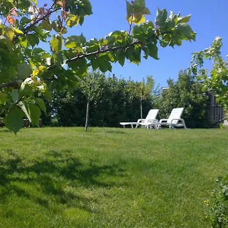 Дом отдыха San Francesco House